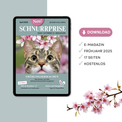 Schnurrprise – Das erste Catsimo E-Magazin | Katzen • DIY | April 2025 • Download