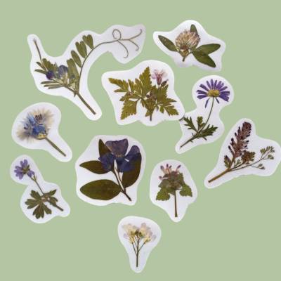 Natursticker Pflanzenaufkleber – Echte botanische Aufkleber aus Gartenpflanzen in Blau, Lila & Rosa