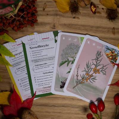 Handliches WILDFRÜCHTE LERNKARTEN SET für Einsteiger: Wildkräuter & Heilpflanzen Karten für Pflanzenliebhaber, Gärtner