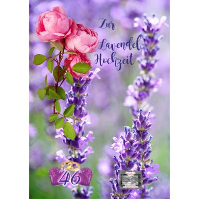 Glückwünsche zur Lavendel-Hochzeit - 41. Hochzeitstag.