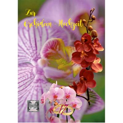 Glückwünsche zur Orchideen - Hochzeit - 17. Hochzeitstag.