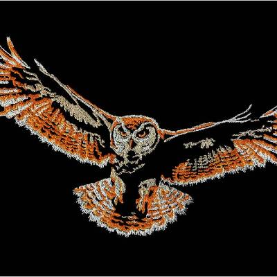 Eule im Flug Color Lichteffekt 20x26-30cm, 21*40cm EXP