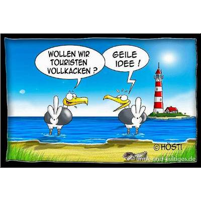 Lustige Hösti Postkarte: Maritimes Möwen-Motiv "Touristen vollkacken" online bestellen