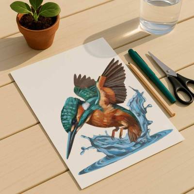 Clipart, Eisvogel, sofortiger Download