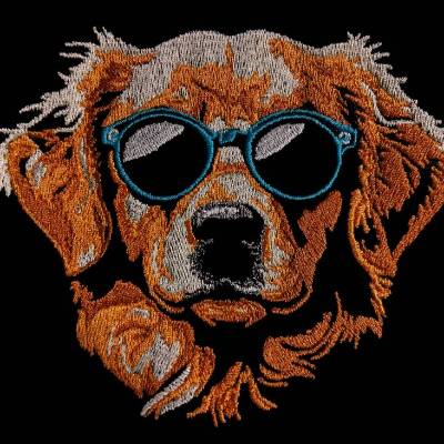 Golden Retriever cool Color Lichteffekt 18x18cm bzw. 20x20cm