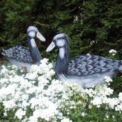 Vintage 2 Enten Wildenten Frankreich Metall Handbemalt Gartenstecker Beetstecker Metallstecker  Gartendeko