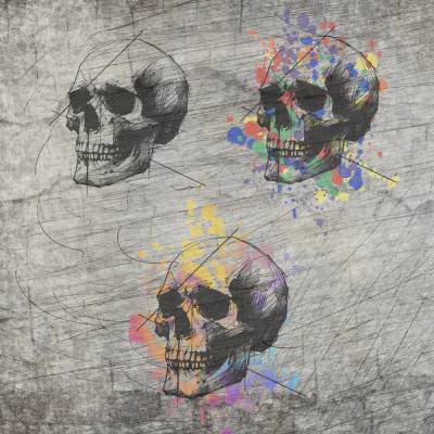 Plotterdatei "Schädel Skizze"