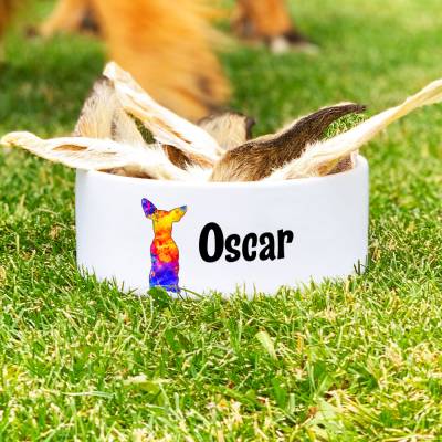 Keramik Futternapf PINSCHER, Hundenapf mit Name