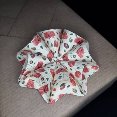 Bastelset Geschenkanhänger Mohnblume – 128 Blatt Origami Motivpapier 5 x 5cm, creme, farbig bedruckt