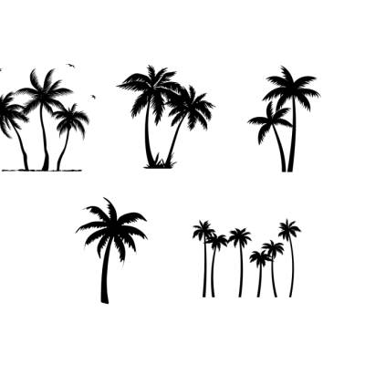 Palmen Palm Trees Bundle PNG SVG Datei - Download Plotterdatei - svg png Datei - Blumen Flowers Beach Strand Sommer 