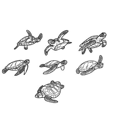 Turtle Schildkröte Bundle PNG SVG Datei - Download Plotterdatei - svg png Datei - Plotterdatei - Plotter Cricut - Meer 