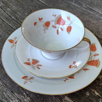 Sammeltasse Gedeck Porzellanmanufaktur Scherzer – Vintage Porzellan kaufen