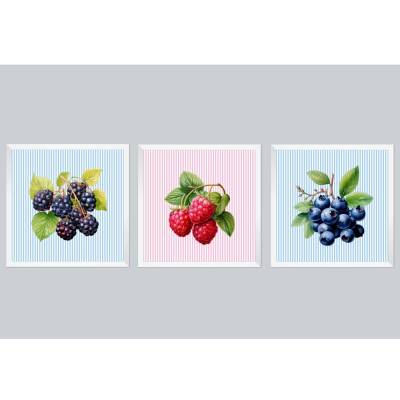  3er Set Poster mit Streifen Beeren Obst Früchte Wanddekoration, Grafik Kunst Druck frischer Look Küche