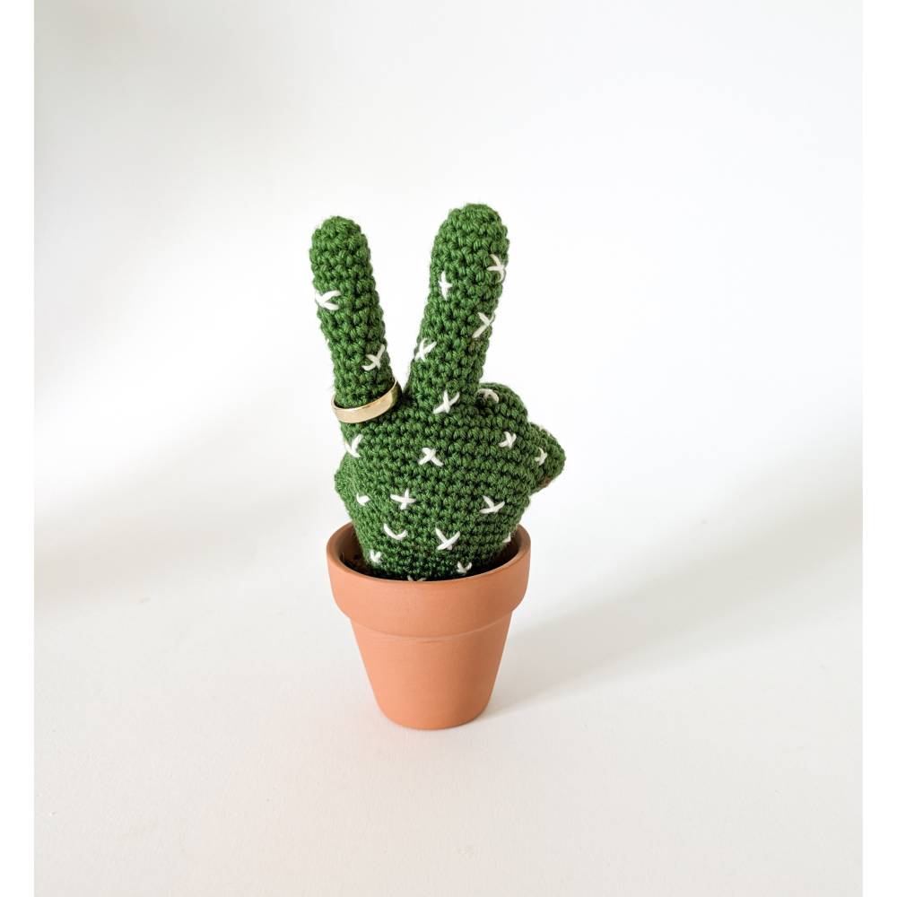 ufopflanze weiße flecken Ufopflanze | Pilea peperomioides