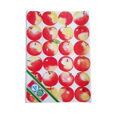 Äpfel, Äpfel, Äpfel - Tips, Informationen und über 100 Rezepte rund um den Apfel