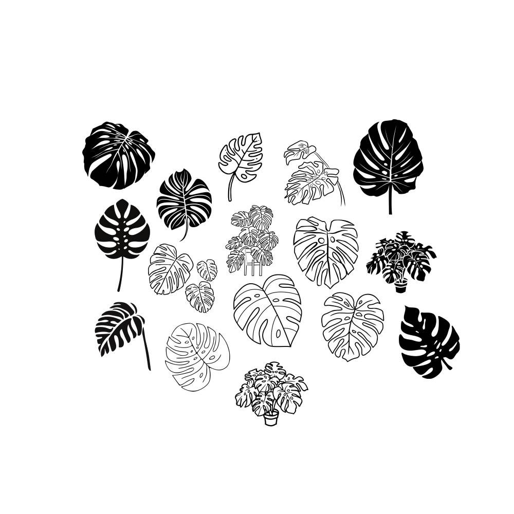 Monstera Bundle PNG SVG Datei - Download Plotterdatei - Plotter File -  Pflanze Plant Fensterbltter Monkey Leaf