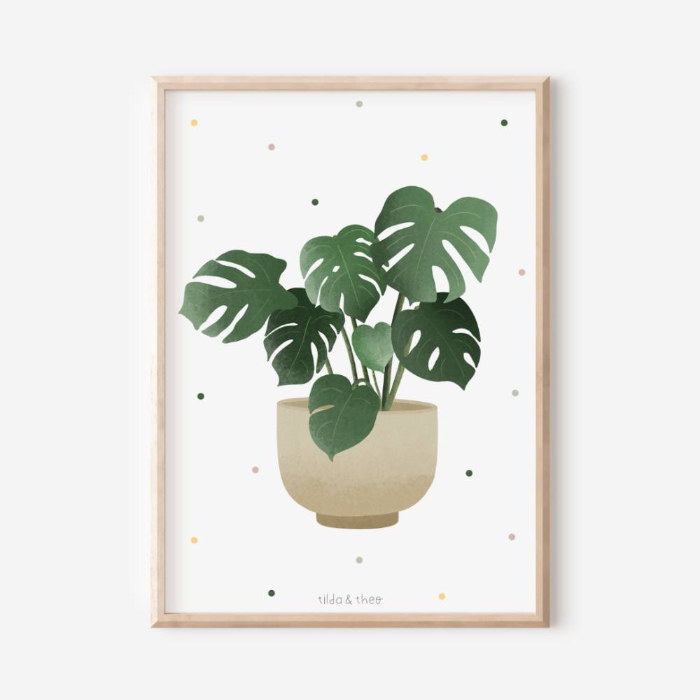 philodendron princess of fire Philodendron Fire Phoenix Variegated 3” – Rare Foliage Plant Co