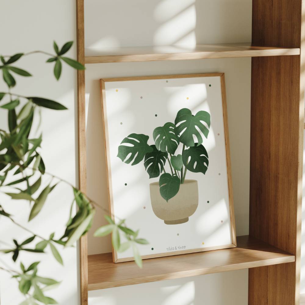 Poster Monstera im Topf Zimmerpflanze Boho Pflanze Botanischer Print - Wanddeko  Monstera Plant - Illustration Bltter