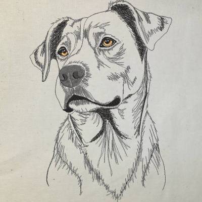 Ridgeback Konturen 15-26*26, bzw. 17*20 JEF