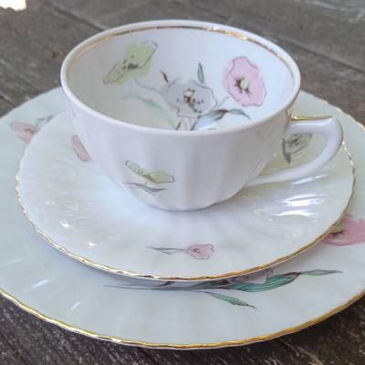 Sammeltasse Gedeck – Vintage Kaffeegeschirr im guten Zustand kaufen