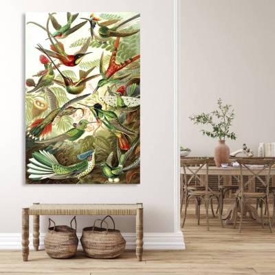 Leinwand Druck Trochilidae Kolibris Buntes Vintage Wandbild tropische Vögel Wanddeko Natur E. Haeckel
