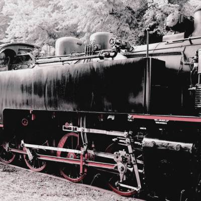 Molli Bahn Bad Doberan – Digitales Foto (7,75 MB, 2268 x 4032) inkl. Spende für Tierschutz