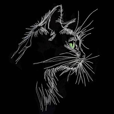 Katze Konturen seitlich Lichteffekt 14*14 bzw. 15*15cm