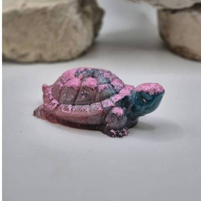 Kleine Schildkröte Rosa-Türkis
