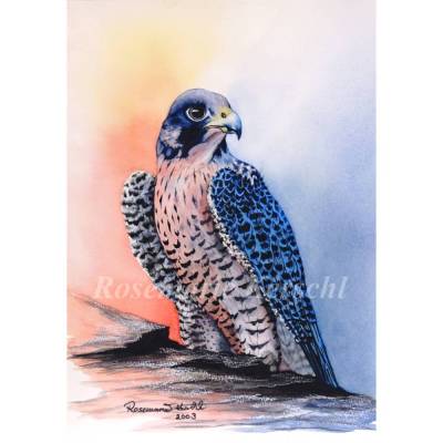 Falke Aquarellbild handgemalt – Unikat 40 x 28 cm Hochformat | Galerie Rosemarie Kerschl