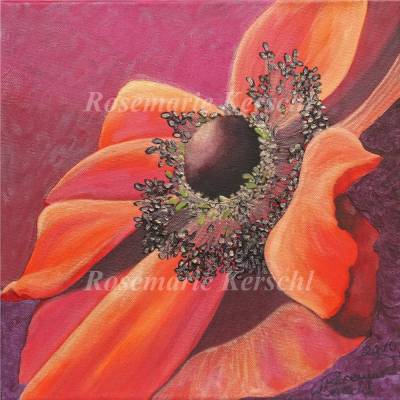 Anemone Acrylbild handgemalt – Unikat auf Leinwand 30 x 30 cm mit Keilrahmen