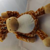 Bild 8