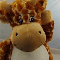 Bild 9
