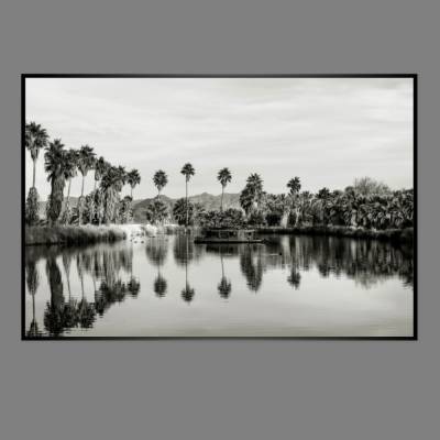 Schwarz Weiss Vintage Fotografie 80er Jahre - Palmen Oase in Kalifornien bei Palm Desert -  KUNSTDRUCK FineArtPrint