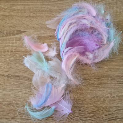 100 Stk. bunte Federn