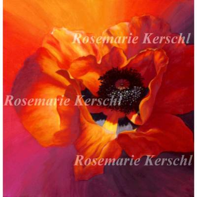 Mohnblume 1 Acrylbild handgemalt auf Leinwand – Unikat 40 x 40 cm von Galerie Kerschl