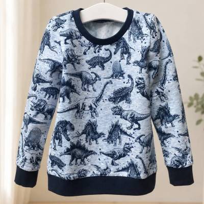 Dinosaurier-Sweatshirt in blau – Bio Dinoshirt für Kinder mit T-Rex, Wunschgröße 68-104