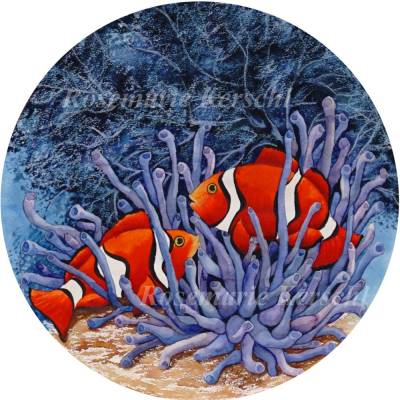 Rundes Aquarellbild Clownfische handgemalt – Unikat in Rot, Orange, Weiß, Schwarz, Blau, Türkis, Beige – 35 cm Durchmesser