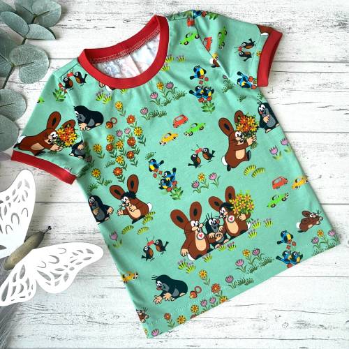 Maulwurf Pauli Shirt - Motiv Hasenglück mintgrün, Retro Kinder T-Shirt oder Longsleeve mit Pauli Motiv