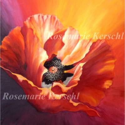 Mohnblume 2 Acrylbild handgemalt Unikat 40 x 40 cm auf Leinwand – Galerie Kerschl