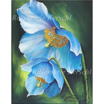 Scheinmohn Acrylbild handgemalt – Unikat auf Leinwand 30 x 24 cm Hochformat