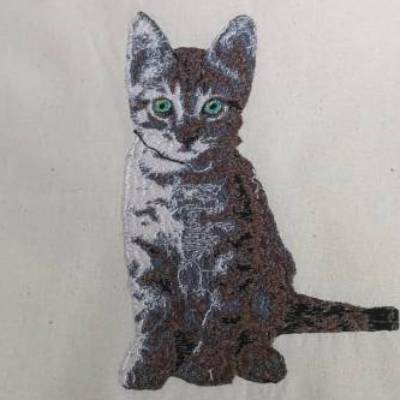 DreamEmbroid "Little Cat" – Fotorealistische Katzen-Stickdatei für Webware & Filz