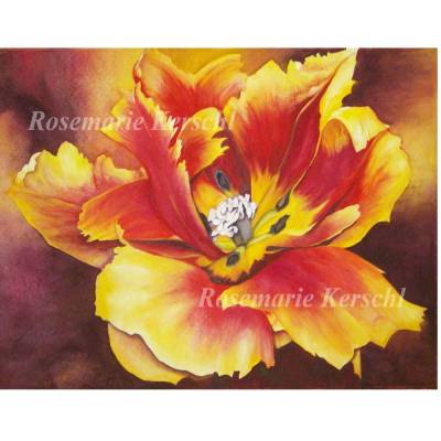 Papageien Tulpe in Flammen – Handgemaltes Aquarellbild 39 x 28 cm Querformat Unikat