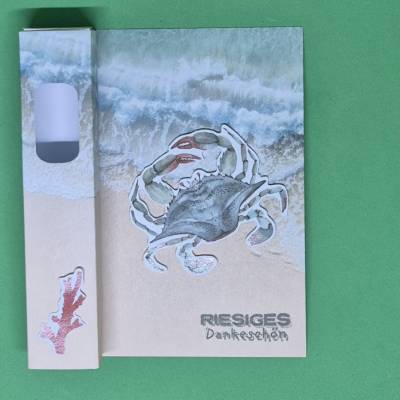 Strandmotiv Verpackung / Geldgeschenke / Krabben Geschenkverpackung / maritime Geschenkideen / Geschenkverpackung