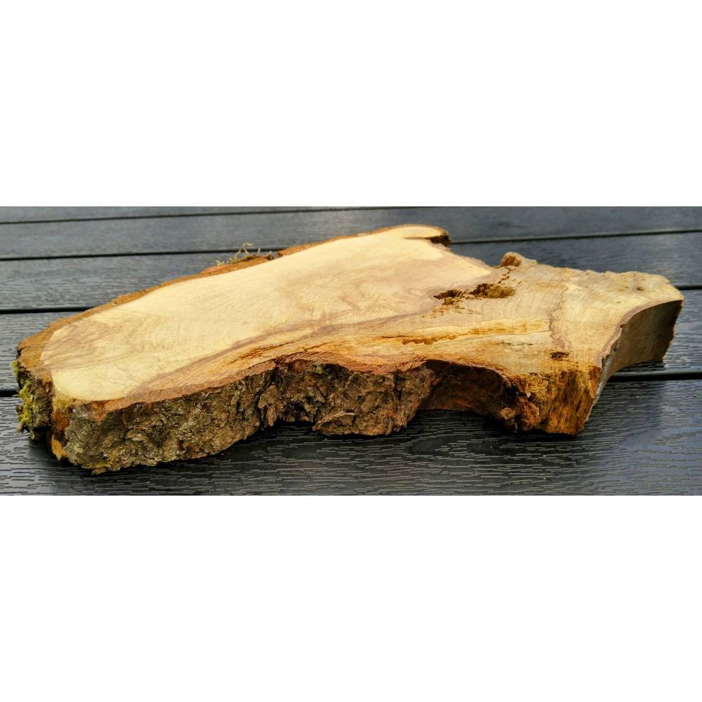 Bruchstück,Baumscheibe, Holzscheibe,Gestockt,Erle,Holz, Bastelholz, Holzdeko, Dekoration,Holz