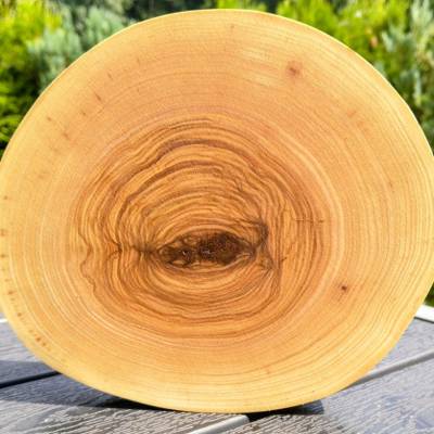 Klein,Baumscheibe, Holzscheibe, Esche, Holz, Bastelholz, Holzdeko, Dekoration 