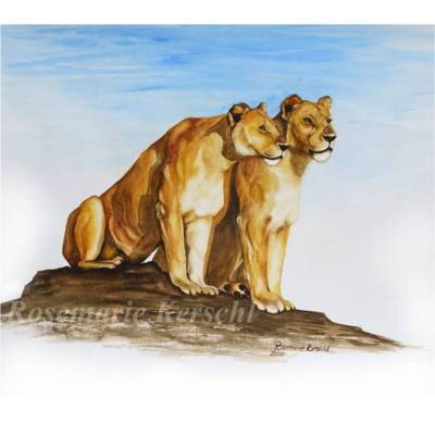 Handgemaltes Löwen Aquarellbild – Unikat 48 x 56 cm – Galerie Rosemarie Kerschl