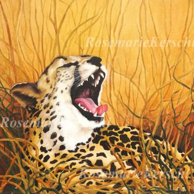 Gepard in der Savanne – handgemaltes Acrylbild auf Leinwand 40 x 40 cm