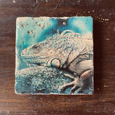 Travertin Untersetzer mit Leguan – Fotodruck auf Naturstein, handgemacht mit Korkrückseite, Tischschutz & Deko in einem