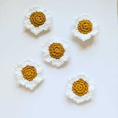 Kühlschrankmagnet Blumen | 5er Set gehäkelte Margeriten | kleine Geschenkidee | Büro Deko