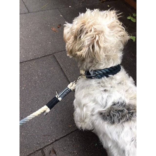hundemantel kleine hunde Hundemantel mit Bauchschutz, Hundemantel große Hunde und kleine Hunde,